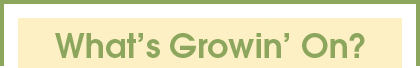 What's Growin' On?